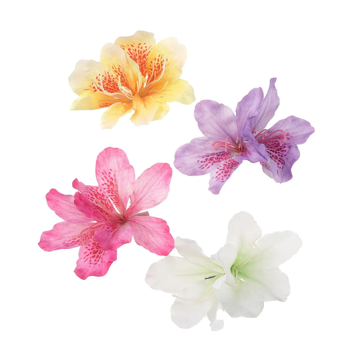 Colorful Canna Flowers Samll Hair Clips
